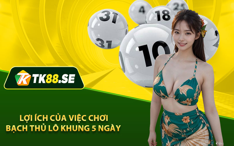 Lợi ích của việc chơi bạch thủ lô khung 5 ngày 